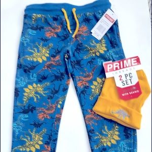2 pc set Boys dinosaur sweatpants with matching hat